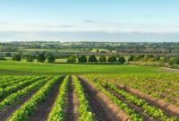 Agricultural Loans Europe: Powering Sustainable Farm Growth and Innovation