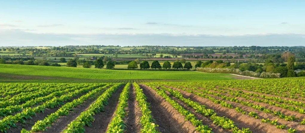 Agricultural Loans Europe: Powering Sustainable Farm Growth and Innovation